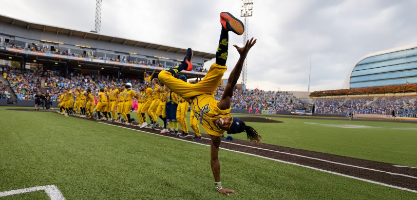 Savannah Bananas Parking