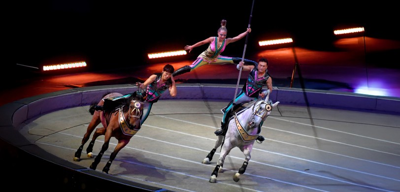 Ringling Bros B&B Circus